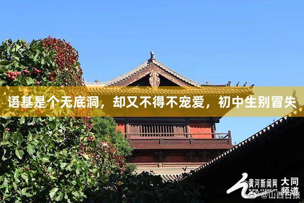 语基是个无底洞，却又不得不宠爱，初中生别冒失