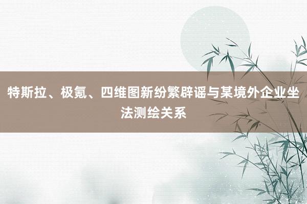 特斯拉、极氪、四维图新纷繁辟谣与某境外企业坐法测绘关系
