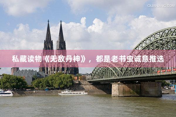 私藏读物《无敌丹神》，都是老书虫诚意推选