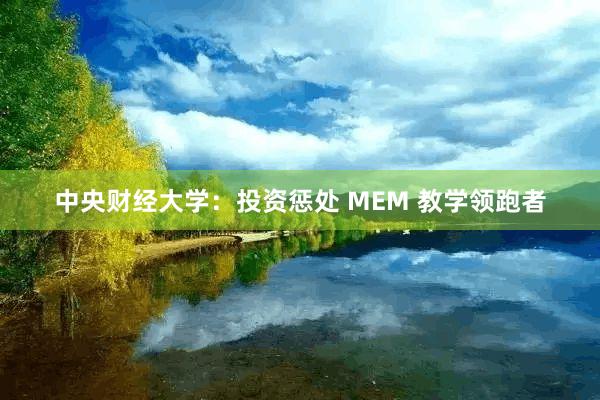 中央财经大学：投资惩处 MEM 教学领跑者