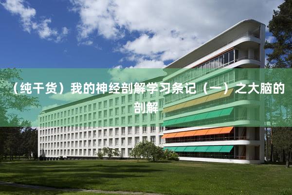 （纯干货）我的神经剖解学习条记（一）之大脑的剖解