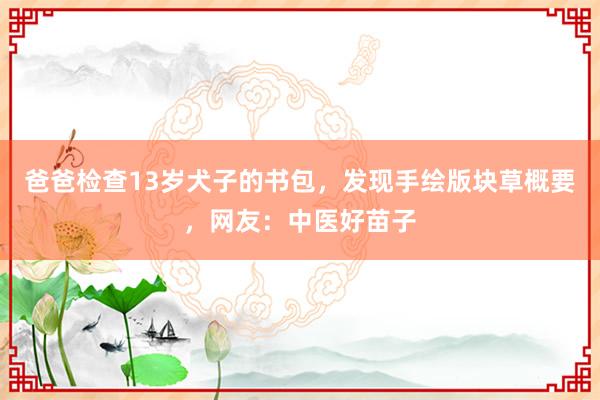 爸爸检查13岁犬子的书包，发现手绘版块草概要，网友：中医好苗子