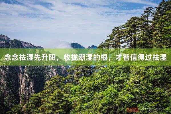 念念祛湿先升阳，收拢潮湿的根，才智信得过祛湿
