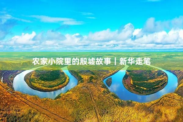 农家小院里的殷墟故事｜新华走笔