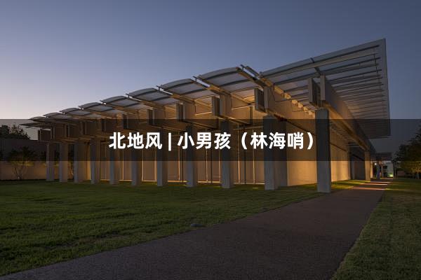 北地风 | 小男孩（林海哨）