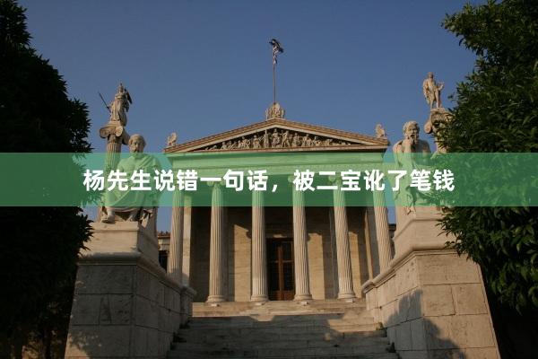 杨先生说错一句话，被二宝讹了笔钱