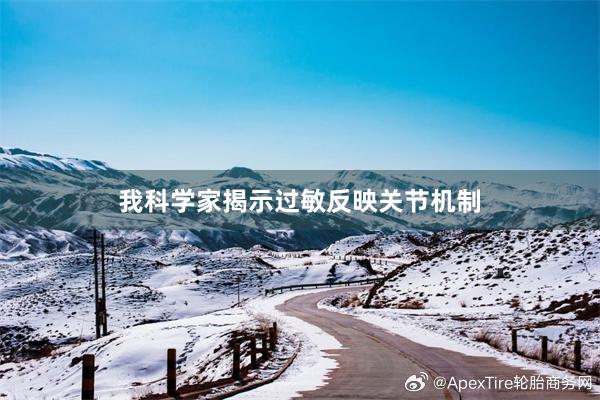 我科学家揭示过敏反映关节机制