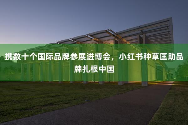 携数十个国际品牌参展进博会，小红书种草匡助品牌扎根中国