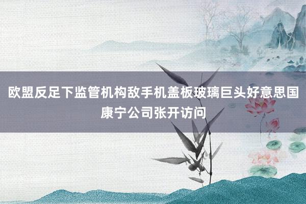 欧盟反足下监管机构敌手机盖板玻璃巨头好意思国康宁公司张开访问