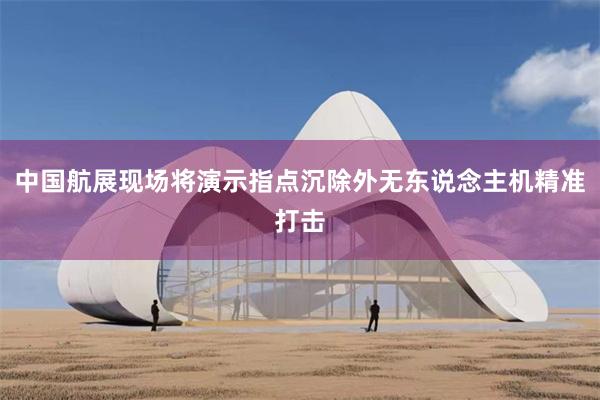 中国航展现场将演示指点沉除外无东说念主机精准打击