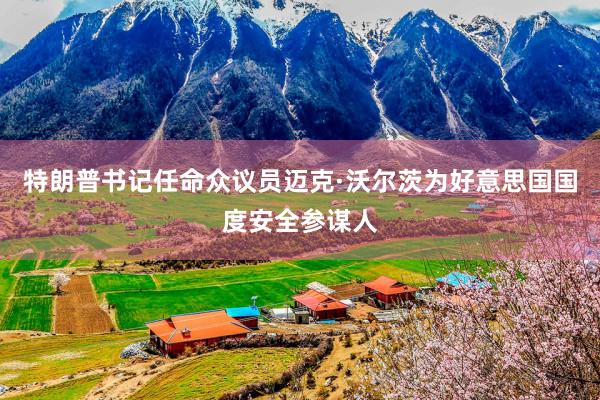 特朗普书记任命众议员迈克·沃尔茨为好意思国国度安全参谋人