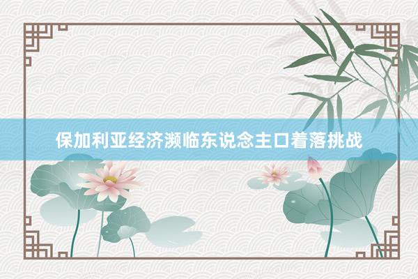 保加利亚经济濒临东说念主口着落挑战