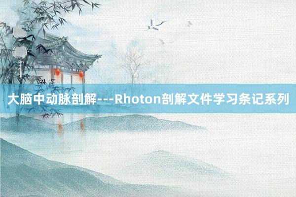 大脑中动脉剖解---Rhoton剖解文件学习条记系列