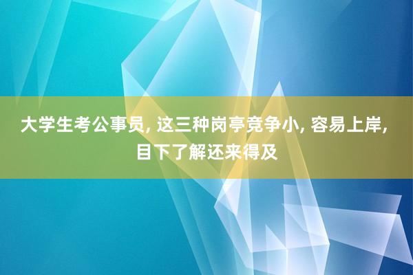 大学生考公事员, 这三种岗亭竞争小, 容易上岸, 目下了解还来得及