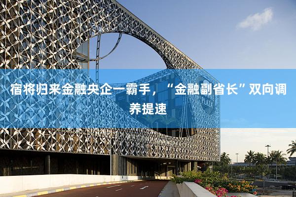 宿将归来金融央企一霸手，“金融副省长”双向调养提速