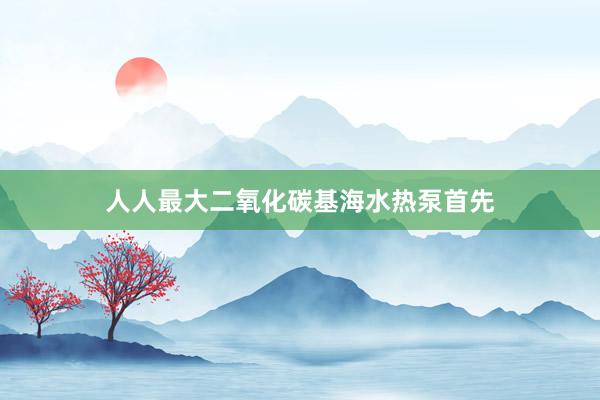 人人最大二氧化碳基海水热泵首先