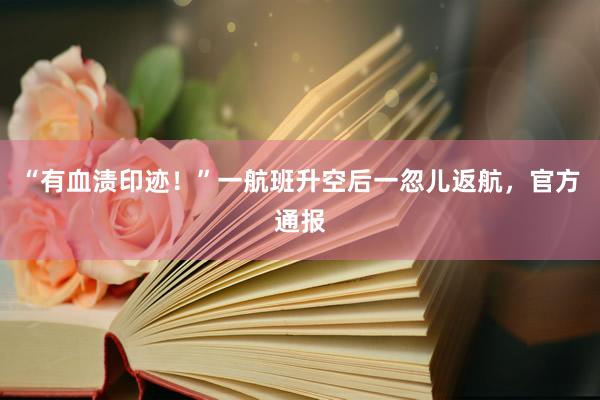 “有血渍印迹！”一航班升空后一忽儿返航，官方通报